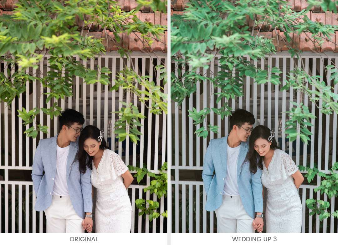 Ảnh cưới Việt Nam