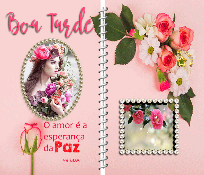 novo57--%2528MB%2529maryluz.gif