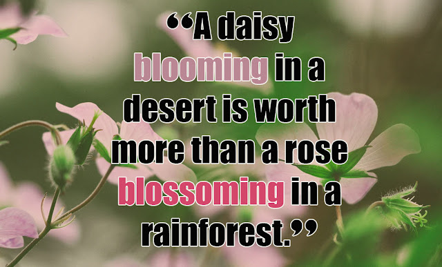 Quotes about flowers blooming