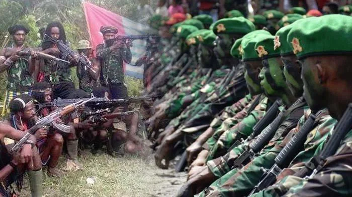 Mengganas! KKB OPM Kembali Berulah, Anggota TNI AD Ditembak di Dada