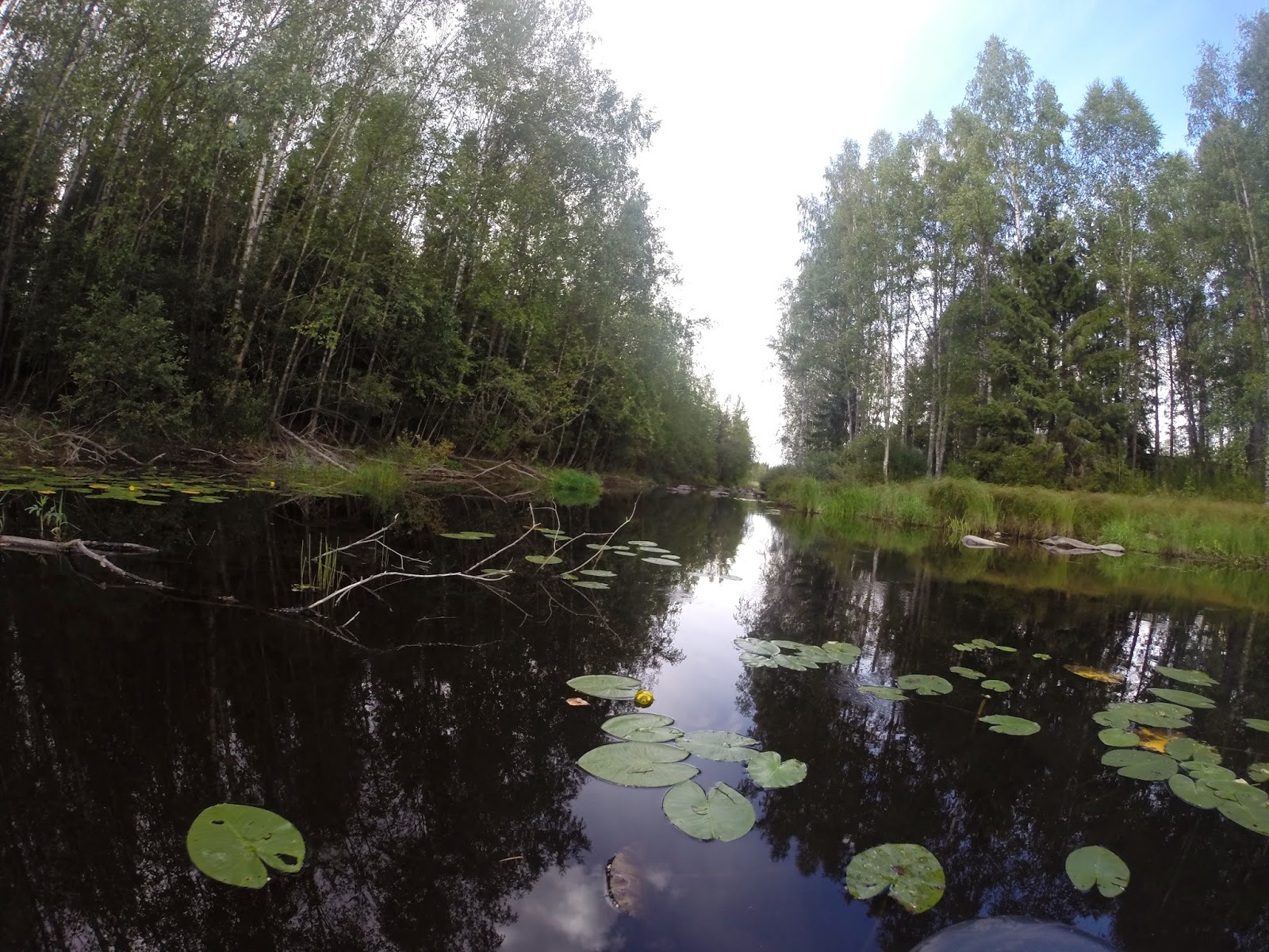 Melottua Perhonjoki; Möttösestä Perhoon 13.8.2014