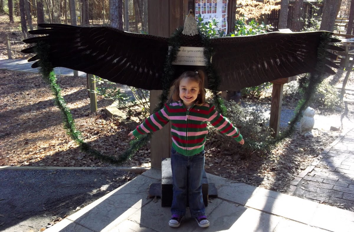 my Thoughts in Text: Educational outing: Carolina Raptor Center / Latta ...