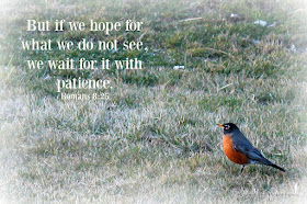 hope, bible verse, God's word, spring, signs of hope, patience, robin, http://bec4-beyondthepicketfence.blogspot.com/2016/04/sunday-verses.html