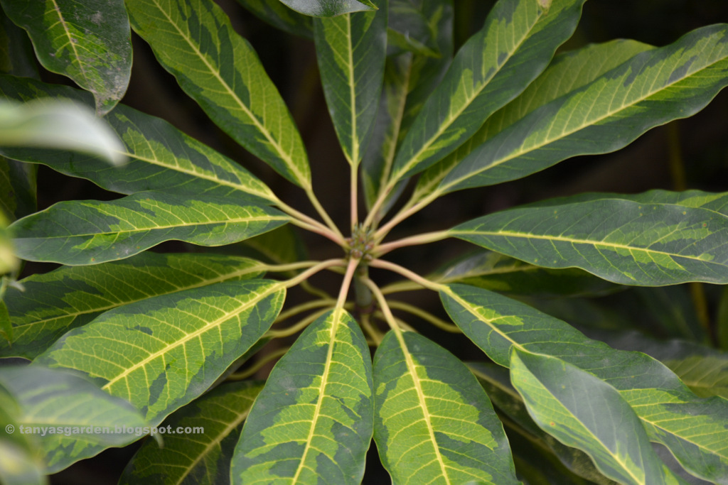 Thinking Outside The Box