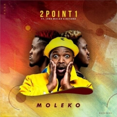2Point1 – Moleko (feat. Butana & Lebo Molax) [DOWNLOAD]Mp3 {2020}