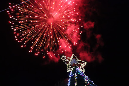 AYUNTAMIENTO DE ZAUTLA REALIZA EL TRADICIONAL ENCENDIDO DEL ÁRBOL NAVIDEÑO