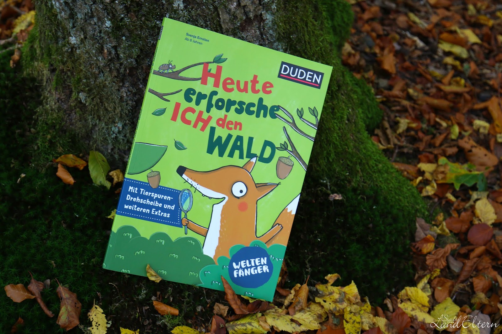 Waldkindergarten Wurzelkinder Dommelstadl Tagesablauf
