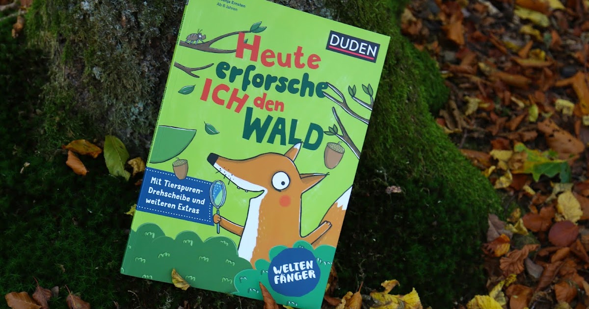 Wetterzentrale Forum Aktuelle Beobachtungen Warnlage Nowcast