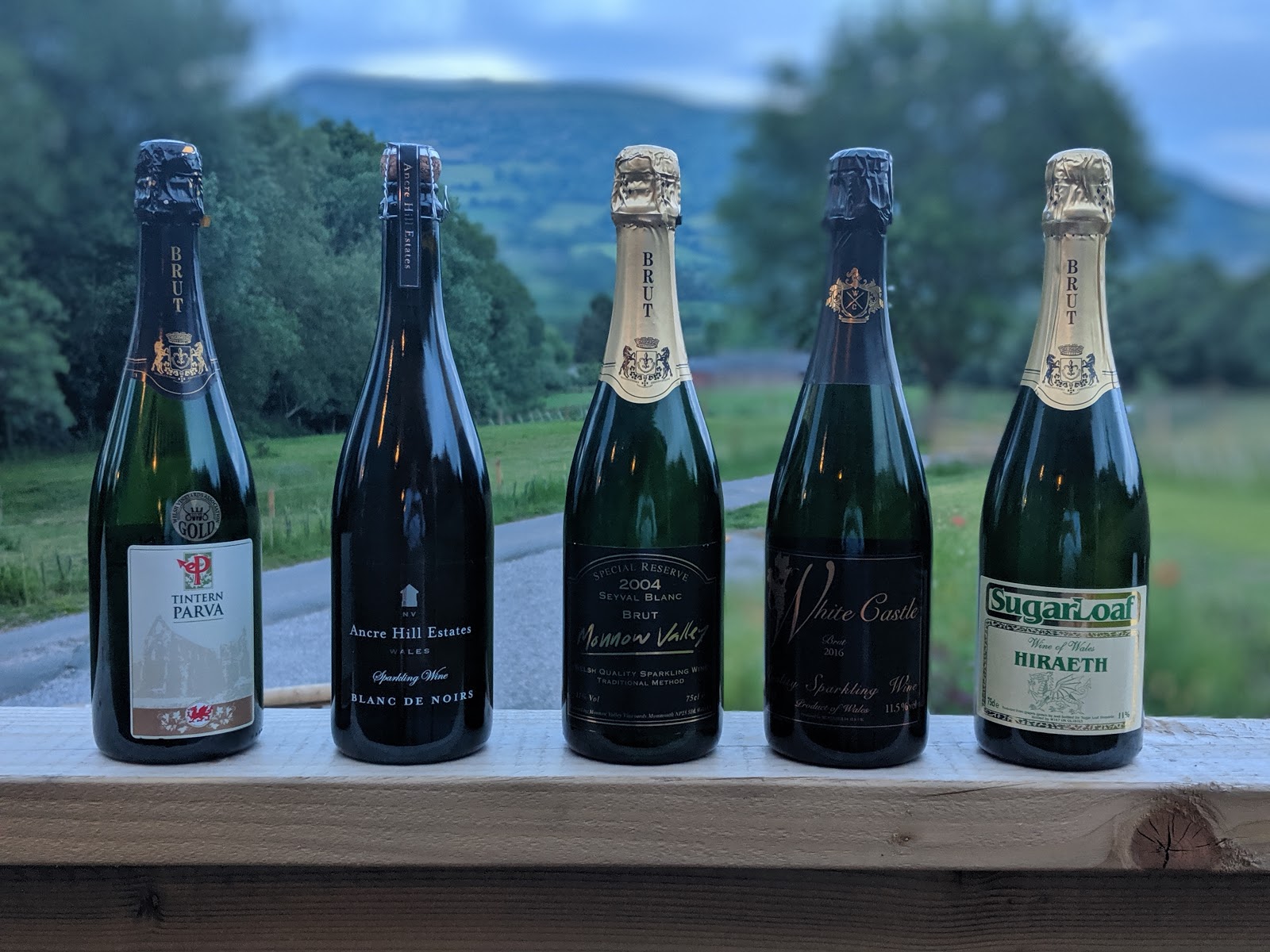 Welsh Sparkling Wine Tasting