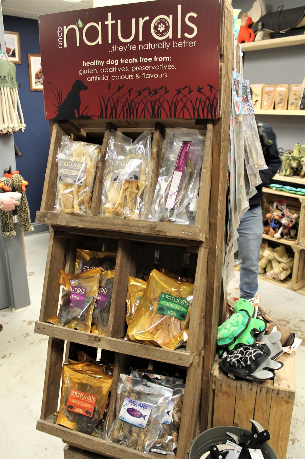 Hounds NewcastleUnderLyme Staffordshire Paws across Britain