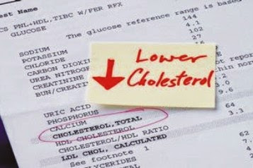 7 Tanaman Obat Kolesterol