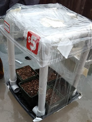 greenhouse seed starting mini machines blogthis email