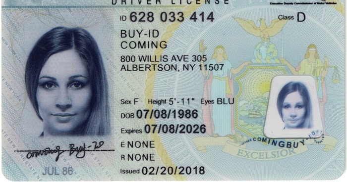 Only Fans Fake Id