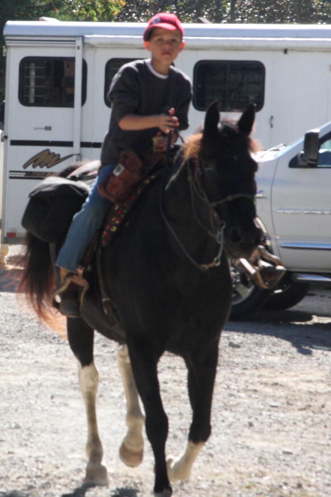 Foxtrotting Trail Riders Of Tennessee