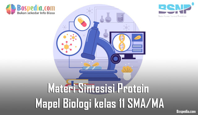 Materi Sintesisi Protein Mapel Biologi kelas 11 SMA/MA