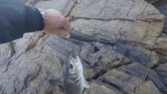 VINILO - Spinning desde acantilado, escenario complicado de pesca