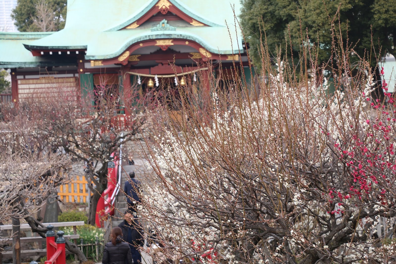 Koto English Speaking Volunteer Guide Association 2019