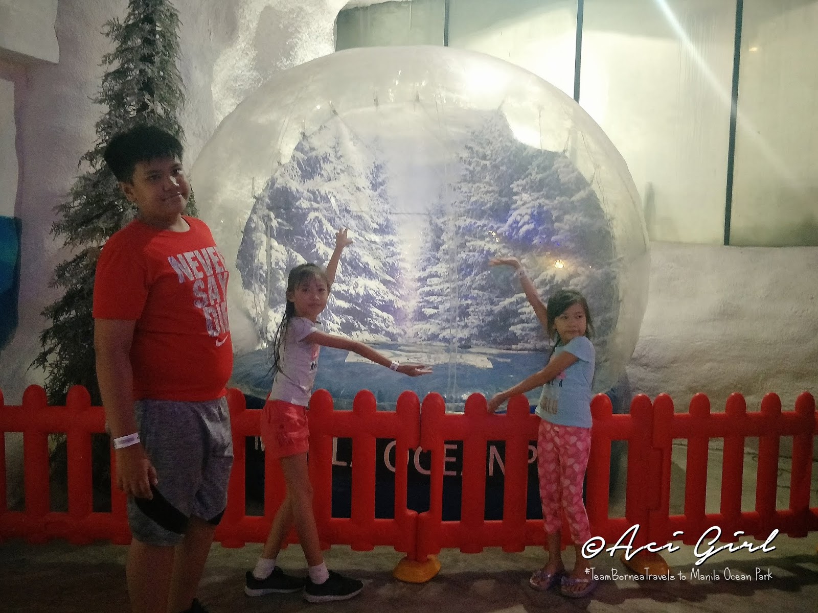 An Early Christmas Getaway for the Family at Manila Ocean Park Aci Girl