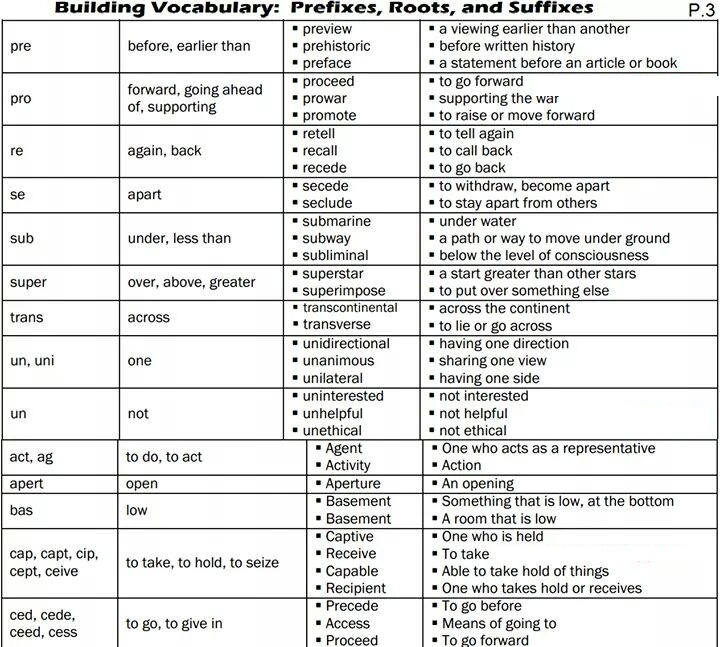 Easy Way to Build Vocabulary for Essay Writing - Tips and Guide - Ratta.pk
