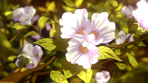 |B| A Floricultura da Vila Beautiful-flower-animated-gif13