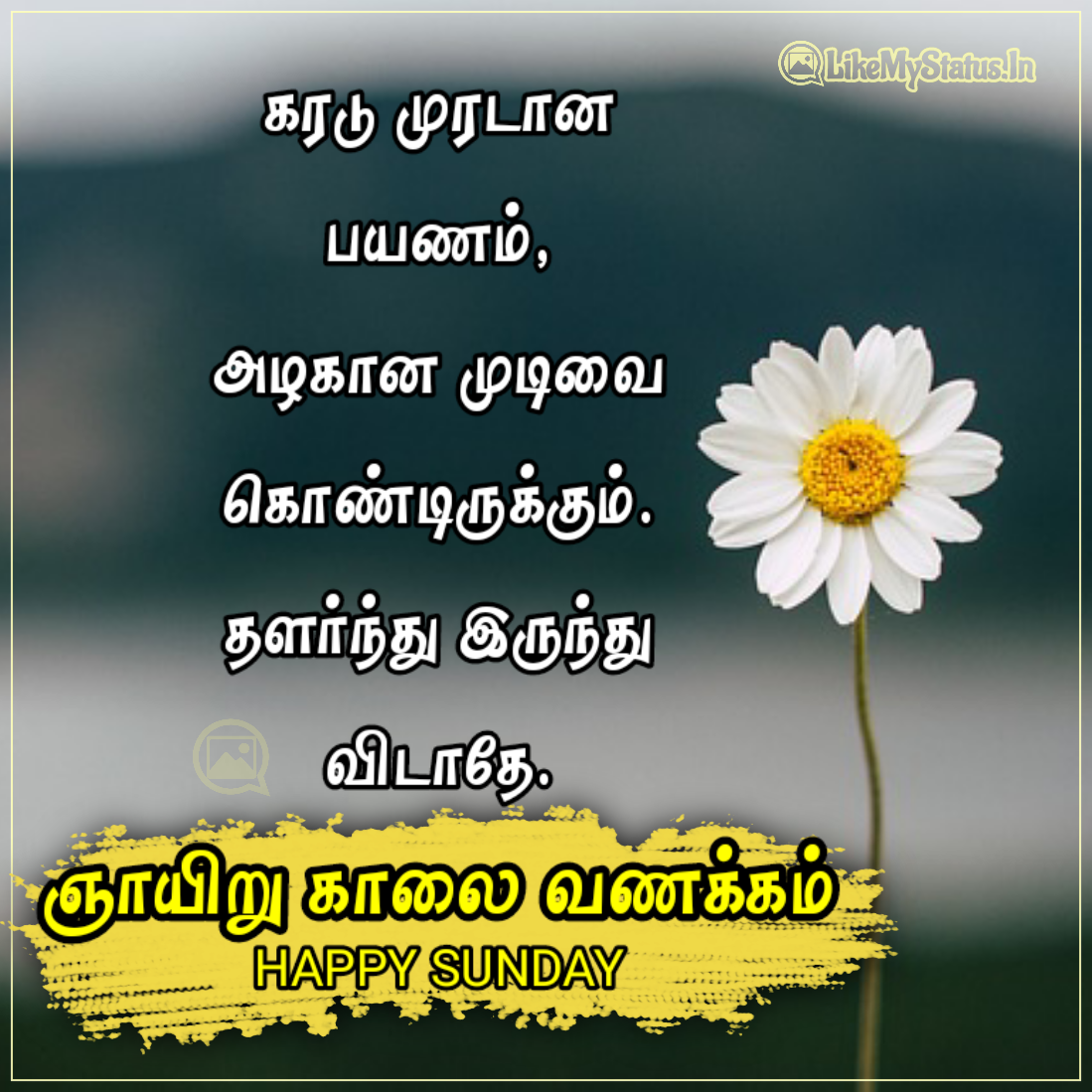 5 ஞாயிறு காலை வணக்கம் படங்கள்