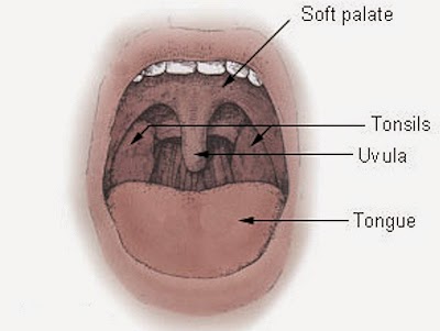 Dangling Thing In Back Of Throat 82