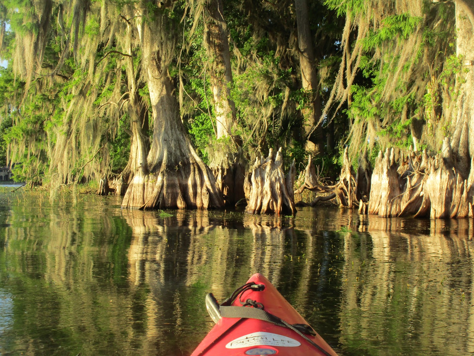 Dave's Yak Tales Lakes Virginia, Mizell, Osceola, and Maitland