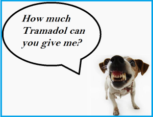 TRAMADOL FOR DOGS DOSES