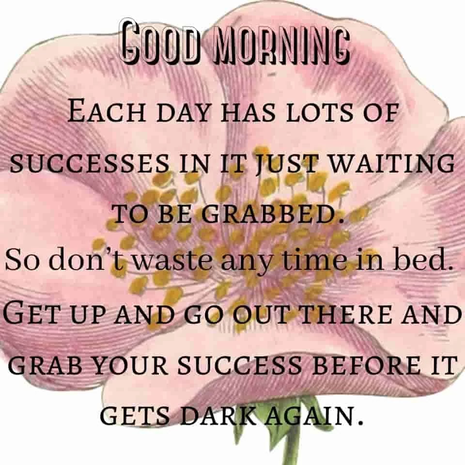 beautiful flower quotes that make your mood in morning Flower-quotes-that-make-your-mood-in-morning