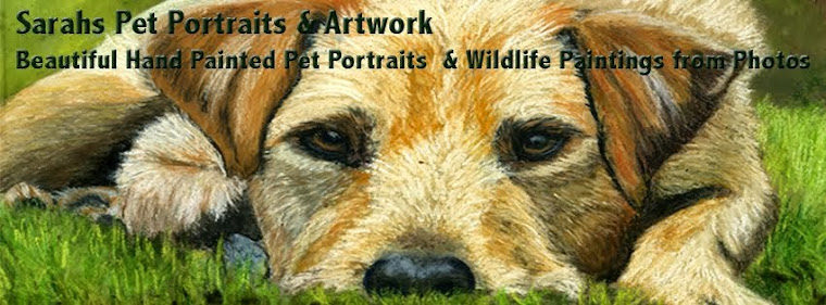 Sarahs Pet Portraits and Art Work