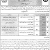 Jobs in Primary and Secondary Healthcare Department Govt of Punjab Nov 2020