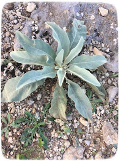 Sattelreisen Uberwintern Teil I November 2019