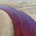Putin announces state of emergency after massive fuel leak contaminates Arctic river
