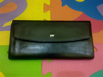 Braun Buffel Black Leather Purse(SOLD)