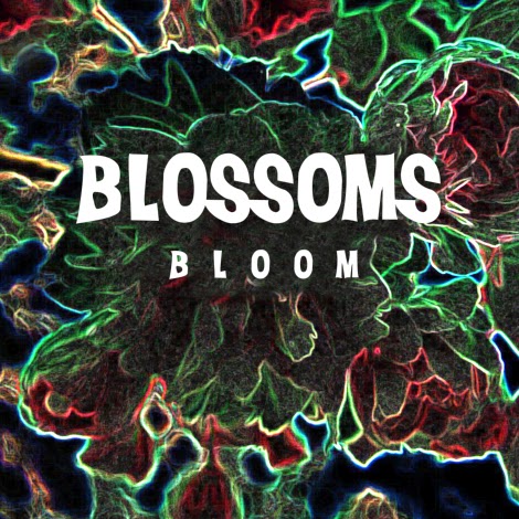 LITTLE INDIE : EP Review :: Blossoms - Bloom