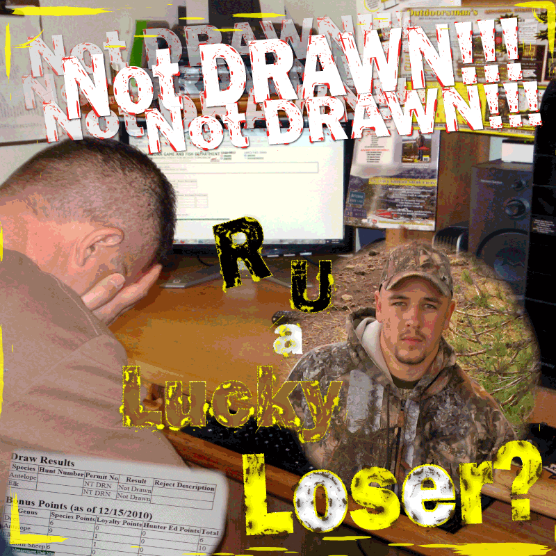 Lucky Loser Lucky Loser