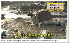 No Japão depois do terremoto e do Tsunami