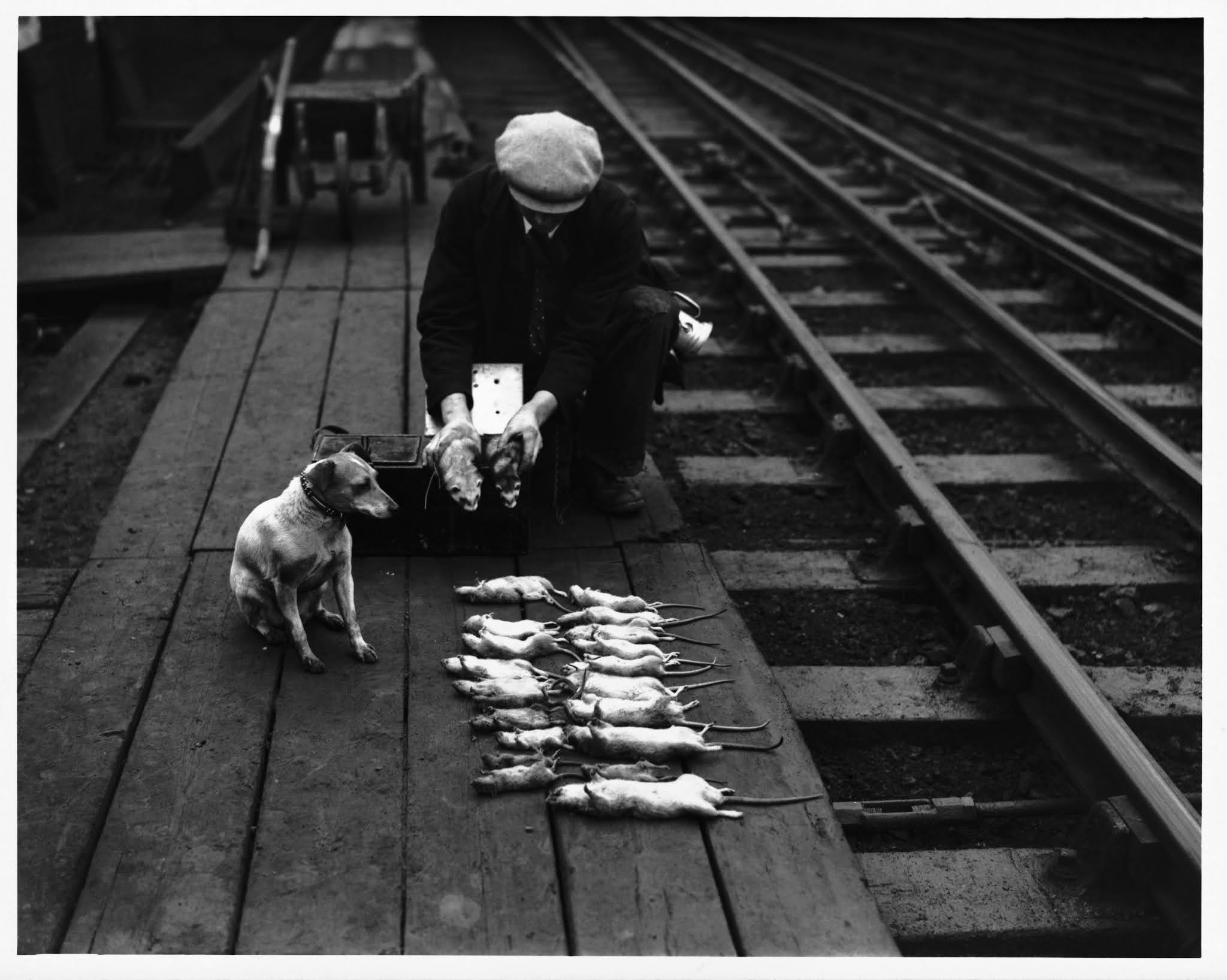 профессии прошлого века. чистильщик обуви профессия. будка чистильщика обуви в ссср.