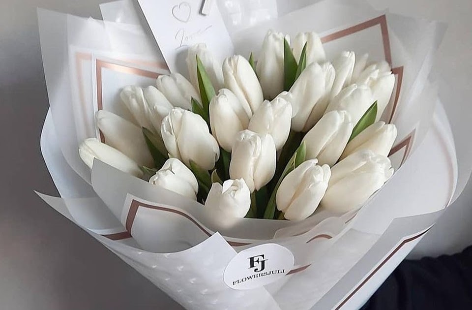 Tulip Colors and Symbolism. All you need to know before giving out