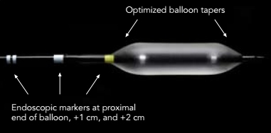 Balloon Sinuplasty Technique Indications Contraindications Cost And Postprocedure Care