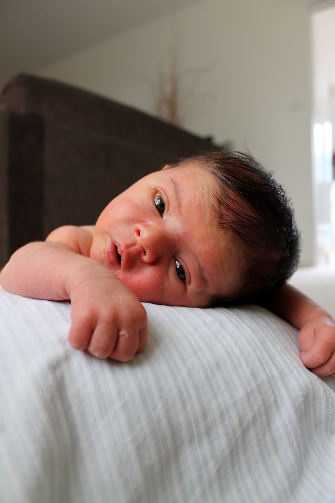 living, loving, laughing&hellip; 1 baby daze (2 weeks)