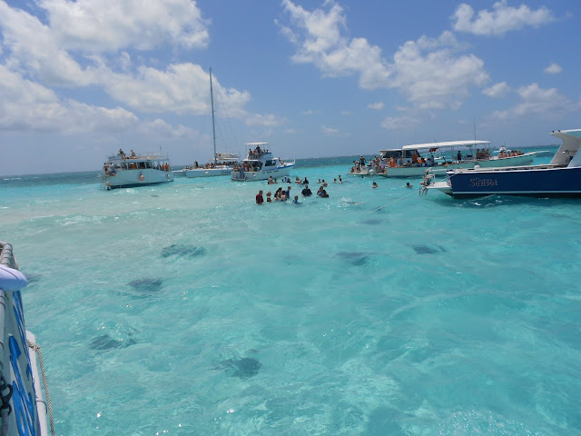 Stingray City - Georgetown - Ilhas Cayman