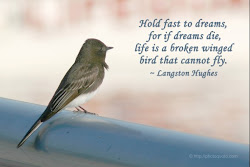 dreams quotes inspirational hughes langston bird hold fast fly bluest eye broken beauty poem cannot winged meaning die futile funny