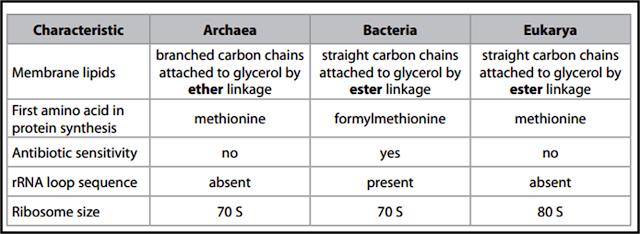 three-domain model of classification as suggested by Carl Woese