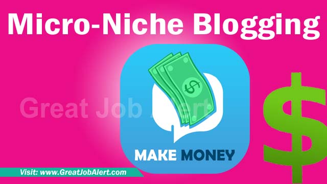 What is Micro-Niche Blogging