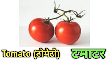  (45+) all vegitables name in Hindi and english with pictures (सब्जियों के नाम)