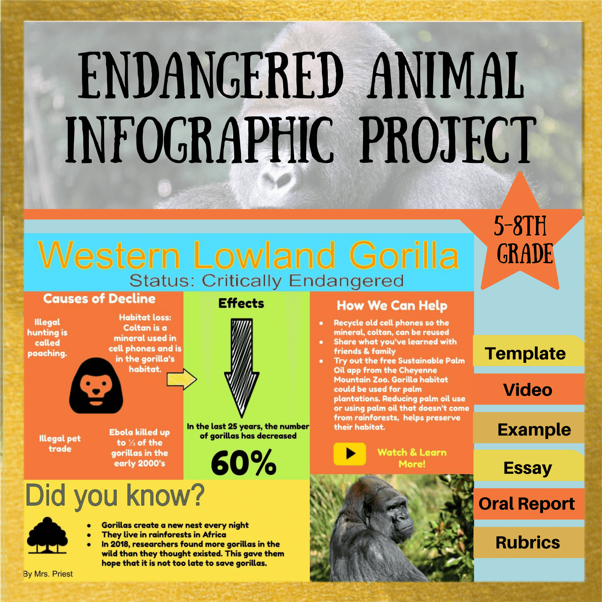 Endangered Species Research project- graphic organizers- DIGITAL!