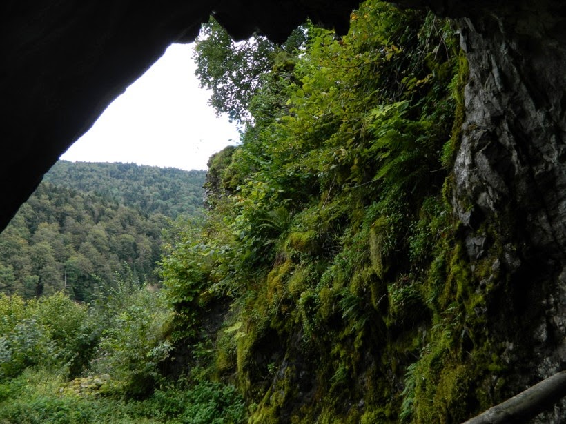 Château de Wildenstein: tunnel d'entrée, Tunnel du château …