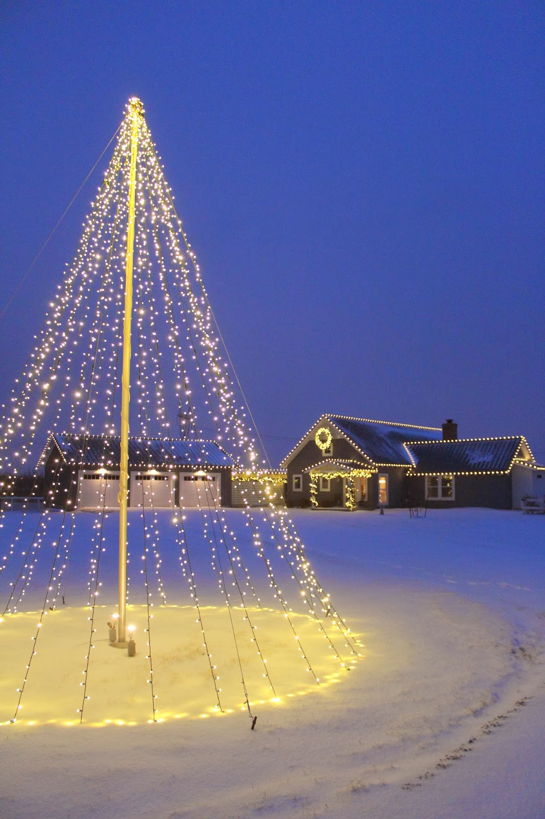 Christmas Lights in Snow