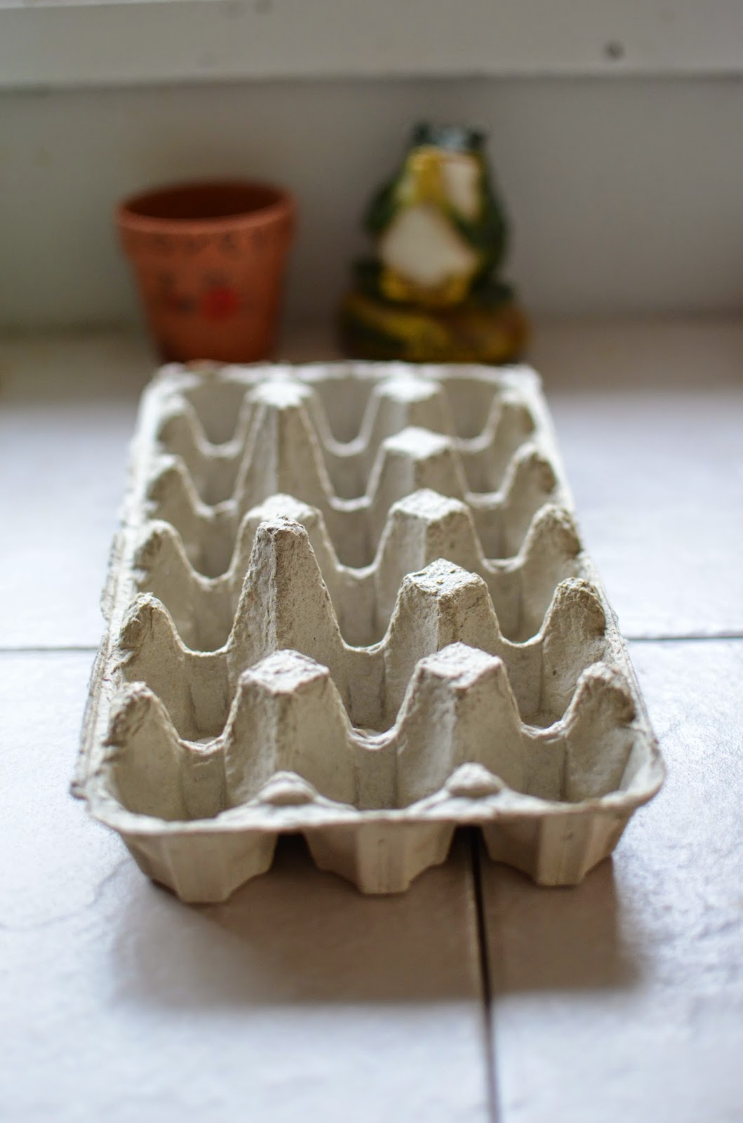 Mindful Musings Create Your Own Egg Carton Greenhouse